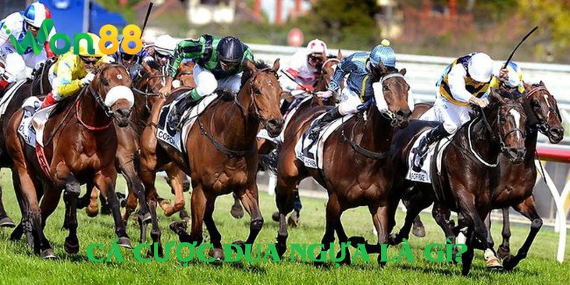 Cá Cược Đua Ngựa Là Gì?