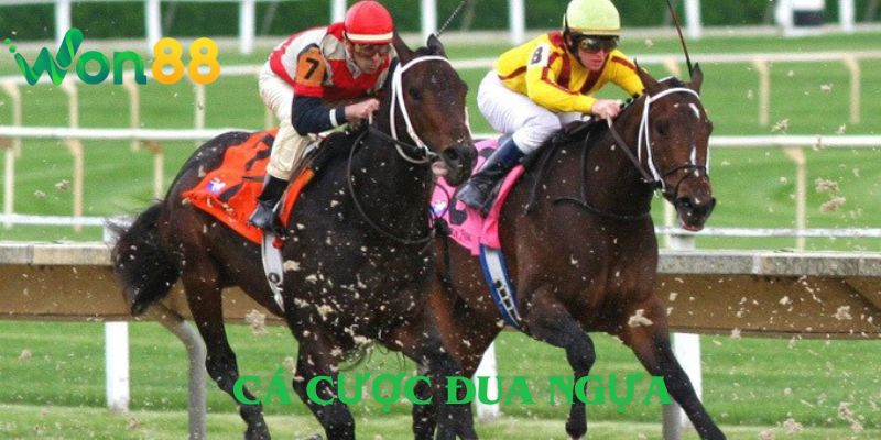 Cách Chơi Cá Cược Đua Ngựa – Mẹo Từ Dân Cá Cược