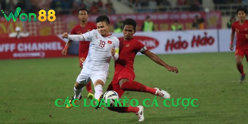 Các Loại Kèo Cá Cược Bóng Đá Cơ Bản