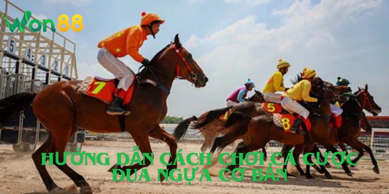 Hướng Dẫn Cách Chơi Cá Cược Đua Ngựa Cơ Bản