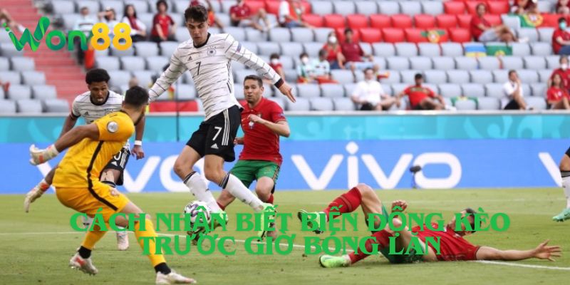 Cách Nhận Biết Biến Động Kèo Trước Giờ Bóng Lăn